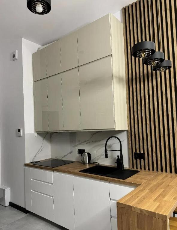 Rentpoland Wiktoryn Studio Apartment Warsawa Bagian luar foto